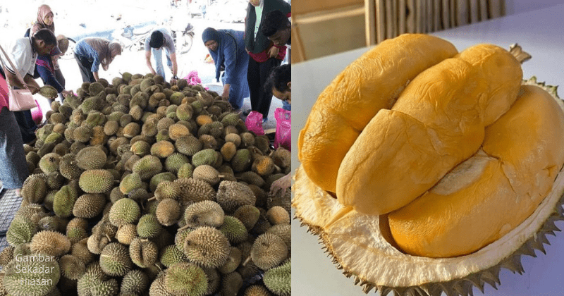 Tips pilih durian