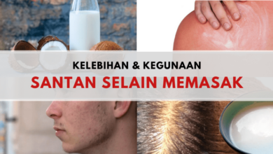 Photo of 3 Kelebihan Dan Kegunaan Lain Santan Selain Memasak. Boleh Guna Untuk Sunburn, Tak Perlu Beli Krim Mahal!