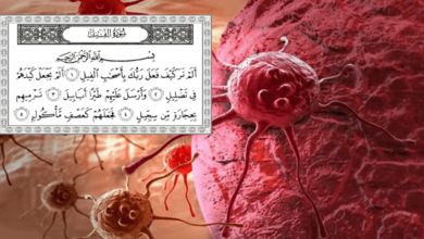 Photo of Baca Surah Al-Fil Seribu Kali Bagi Sembuhkan Kanser, Zikir Ya Latif Legakan Kesakitan, Ini Perkongsian Ustaz Kazim Elias