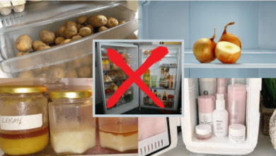 Photo of Ini 10 Barang Tak Perlu Simpan Dalam Peti Sejuk, Boleh Rosak Nanti!