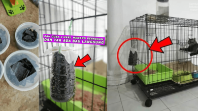 Photo of Busuknya Bau Najis Kucing, Ini Cara Mudah Hilangkan Bau Kuat Supaya Tak Ganggu Jiran. Murah Je!