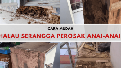 Photo of Habis Perabot Rosak Anai-Anai Punya Kerja. Ini Cara Bunuh & Halau Anai-Anai Di Rumah