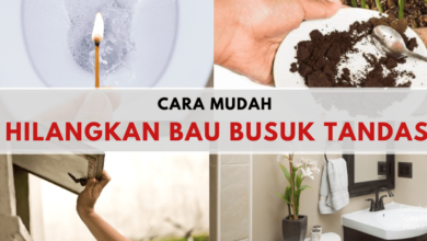Photo of Bau Tandas Selalu Busuk? Ini Cara Mudah Hilangkan Bau Busuk Tandas & Kekal Wangi