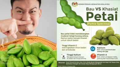 Photo of 3 Tips Hilangkan Bau Petai Selepas Makan & Kelebihan Makan Petai