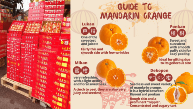 Photo of Nak Beli Limau Mandarin? Kena Tahu Dulu Jenis Limau Mandarin Yang Sedap & Tips Pilih Yang Manis