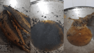 Photo of Tips Rahsia Bersihkan Minyak Masak Hitam Jadi Jernih Semula & Cara Elak Minyak Masak Jadi Hitam
