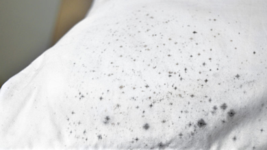 Photo of Ada Kesan Tahi Lalat Pada Baju? Ikuti 5 Tips Ini Untuk Hilangkannya Dengan Mudah